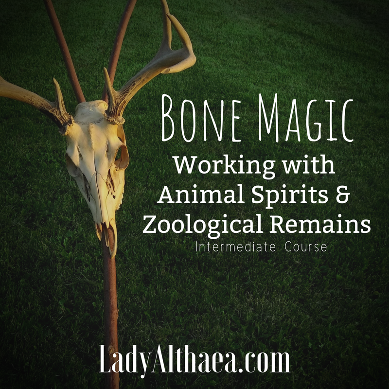 using bones for magick