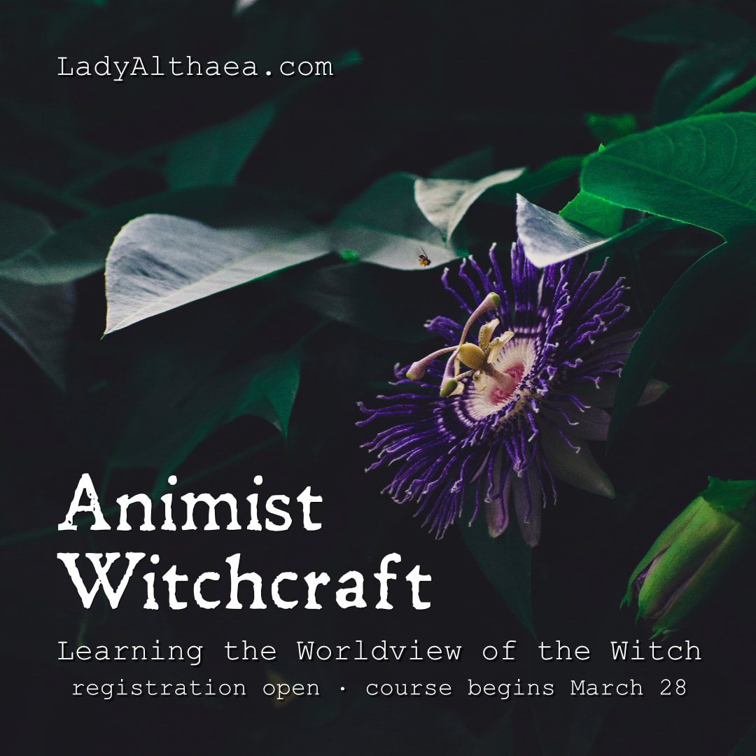 Animism in Witchcraft