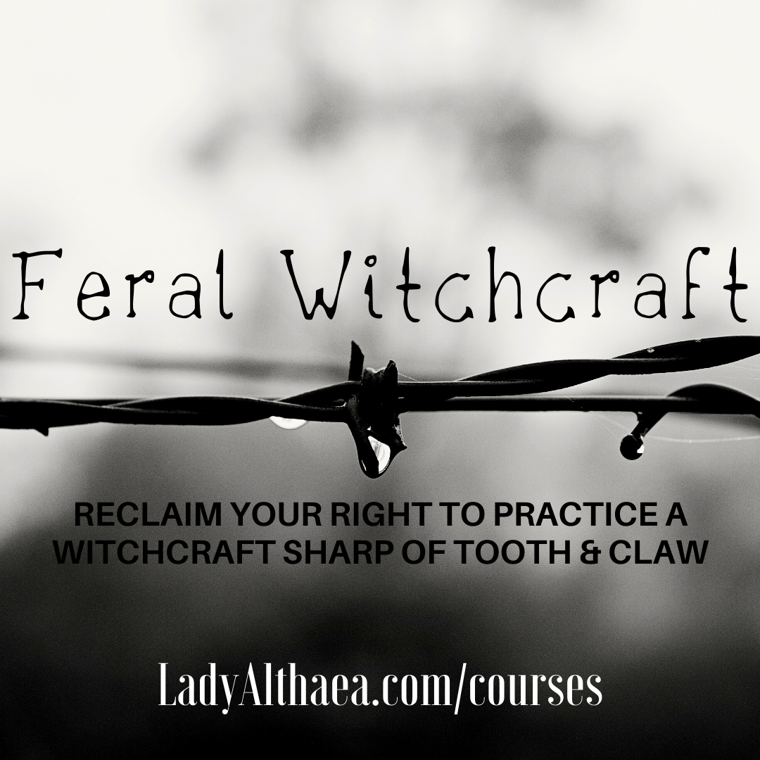 Feral Witchcraft