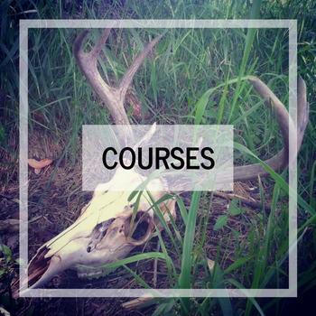 Witchcraft Courses