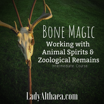 Graphic shows a stang (forked staff) with an antlered deer skull tied to it before a dark green background. White text overlying the image reads, 