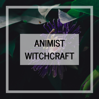 Animist Witchcraft: Learning the Worldview of the Witch