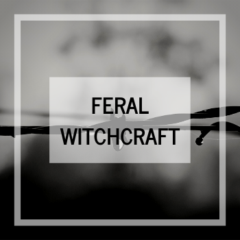 Feral Witchcraft